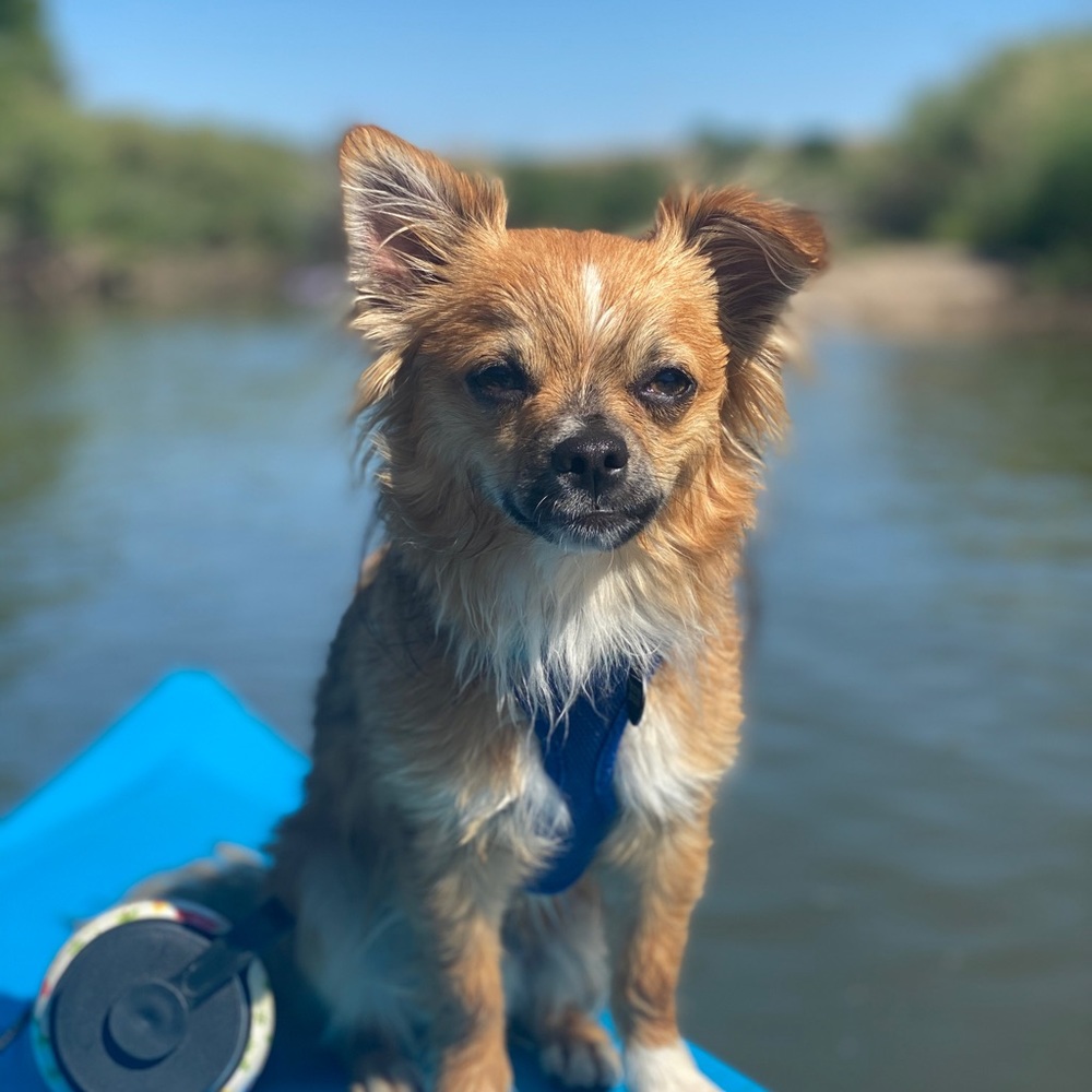 Meet your Posher, Amber